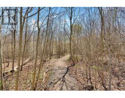 695 WOODCREST BOULEVARD - 41