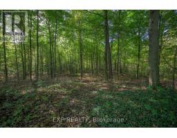 526 TALBOT ROAD - 8