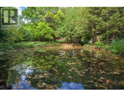 15083 MEDWAY ROAD - 39