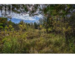 15083 MEDWAY ROAD - 4