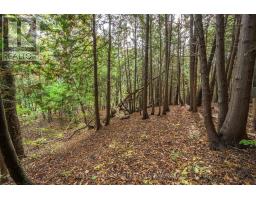 15083 MEDWAY ROAD - 41