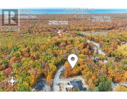 10099 PINERY BLUFFS ROAD - 2