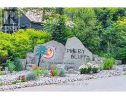 10099 PINERY BLUFFS ROAD - 3