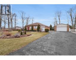 25189 GRAY LINE - 2