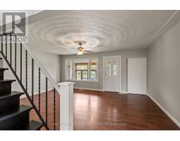 222 ELGIN CRESCENT - 4