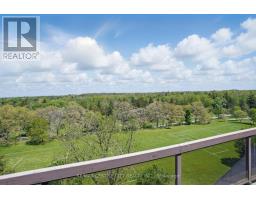703 - 1255 COMMISSIONERS ROAD W - 29