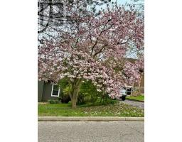 570 KINGSWAY AVENUE - 47
