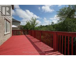 742 MARIGOLD STREET - 36