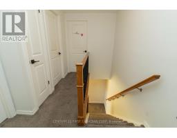 66 - 230 CLARKE ROAD - 26