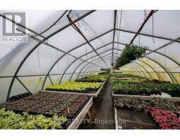 3862 TRAFALGAR STREET - 14