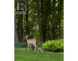 10 - 374 FRONT STREET - 9