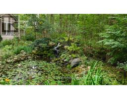 10008 JENNA ROAD - 31