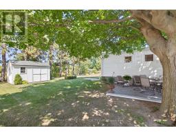 19 MILLER STREET - 41