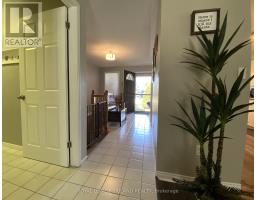 178 PEARL STREET - 3