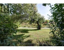 71 CONNAUGHT AVENUE - 45