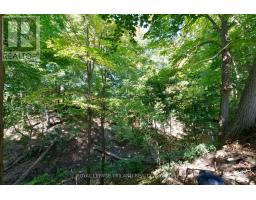 6267 SUNSET ROAD - 45