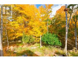 161 BRAYSIDE STREET - 29