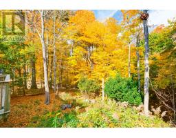 161 BRAYSIDE STREET - 31