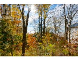 161 BRAYSIDE STREET - 35