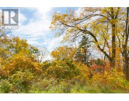 161 BRAYSIDE STREET - 36