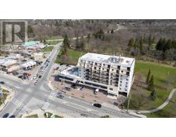 509 - 1255 Commissioners Road W, MLS X12084331