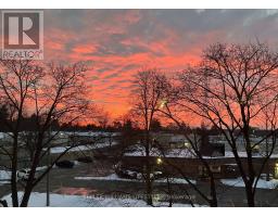 313 - 1200 COMMISSIONERS ROAD W - 29