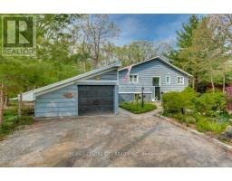 10161 ANDREA STREET - 1