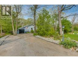 10161 ANDREA STREET - 2