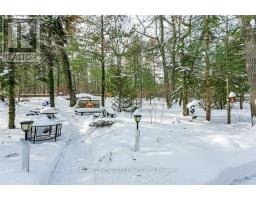 10161 ANDREA STREET - 37