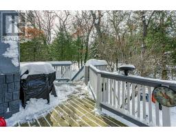 10161 ANDREA STREET - 40