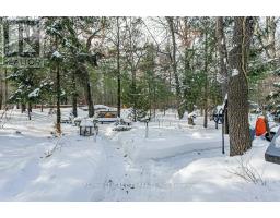 10161 ANDREA STREET - 41