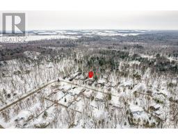 10161 ANDREA STREET - 45