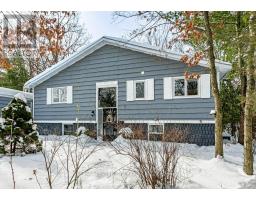 10161 ANDREA STREET - 5