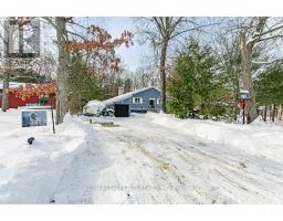 10161 ANDREA STREET - 6