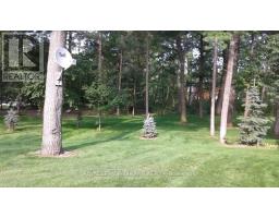 7785 ALFRED STREET - 1