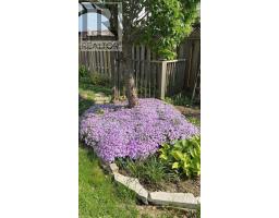 256 WHITESANDS DRIVE - 33