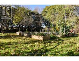 6906 WISBEACH ROAD - 37