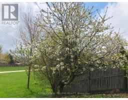 41 GREYROCK CRESCENT - 43