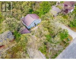 10161 ANDREA STREET - 41
