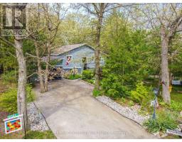 10161 ANDREA STREET - 42