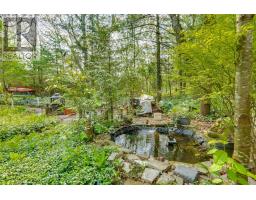 10161 ANDREA STREET - 45
