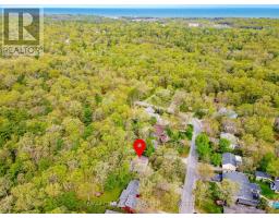 10161 ANDREA STREET - 47