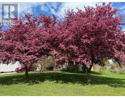 22 VILLAGE GATE CRESCENT - 45