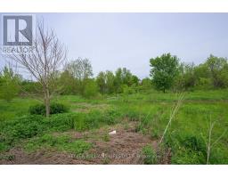 99 - 1010 FANSHAWE PARK ROAD E - 2