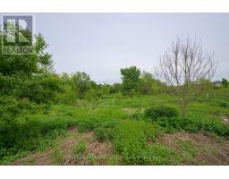 99 - 1010 FANSHAWE PARK ROAD E - 4