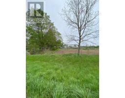 3573 PUTNAM ROAD - 6