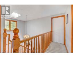 5 DONNYBROOK ROAD - 20