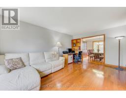 5 DONNYBROOK ROAD - 8