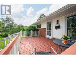 146 DEER PARK CIRCLE - 4