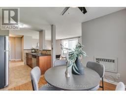 507 - 333 COMMISSIONERS ROAD W - 8